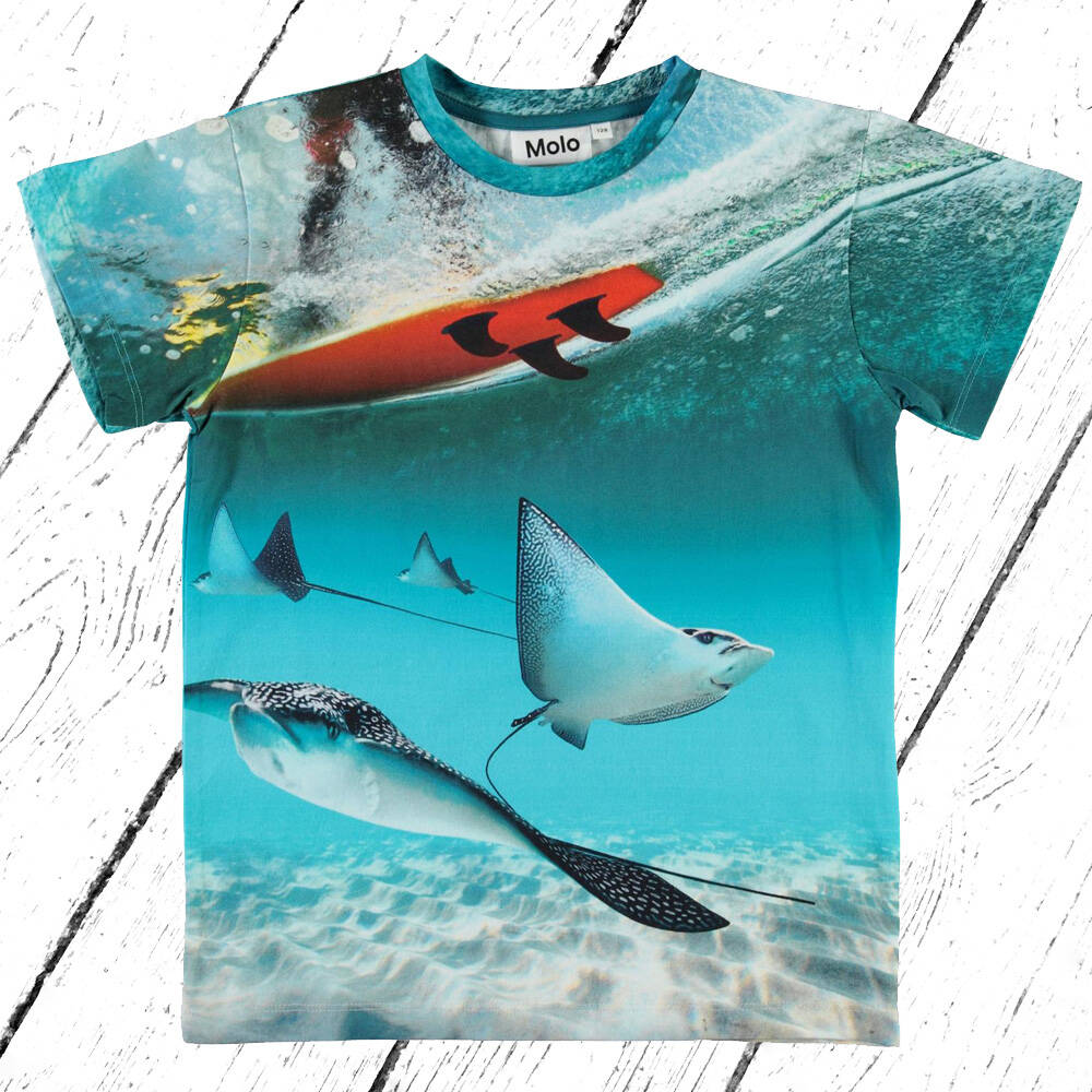 Molo T-Shirt Raul Sting Ray