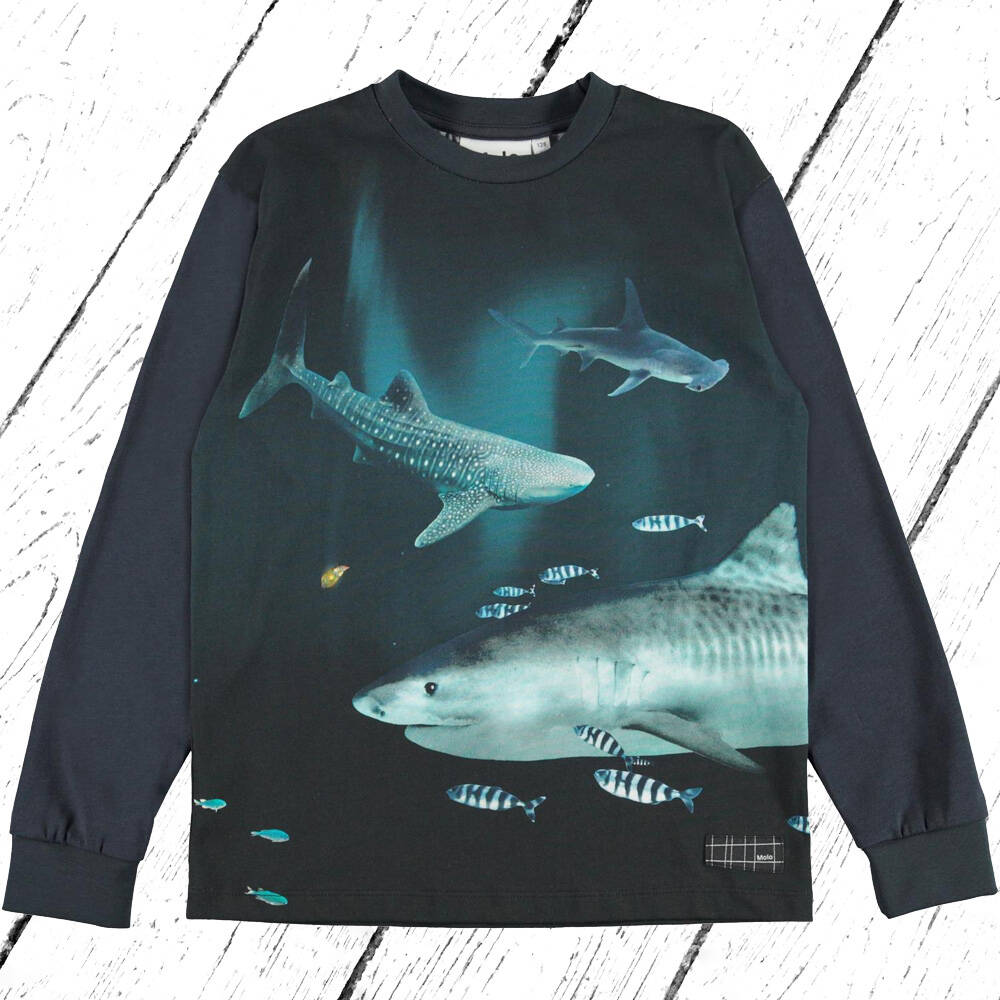 Molo Shirt Rexton Dark Sharks