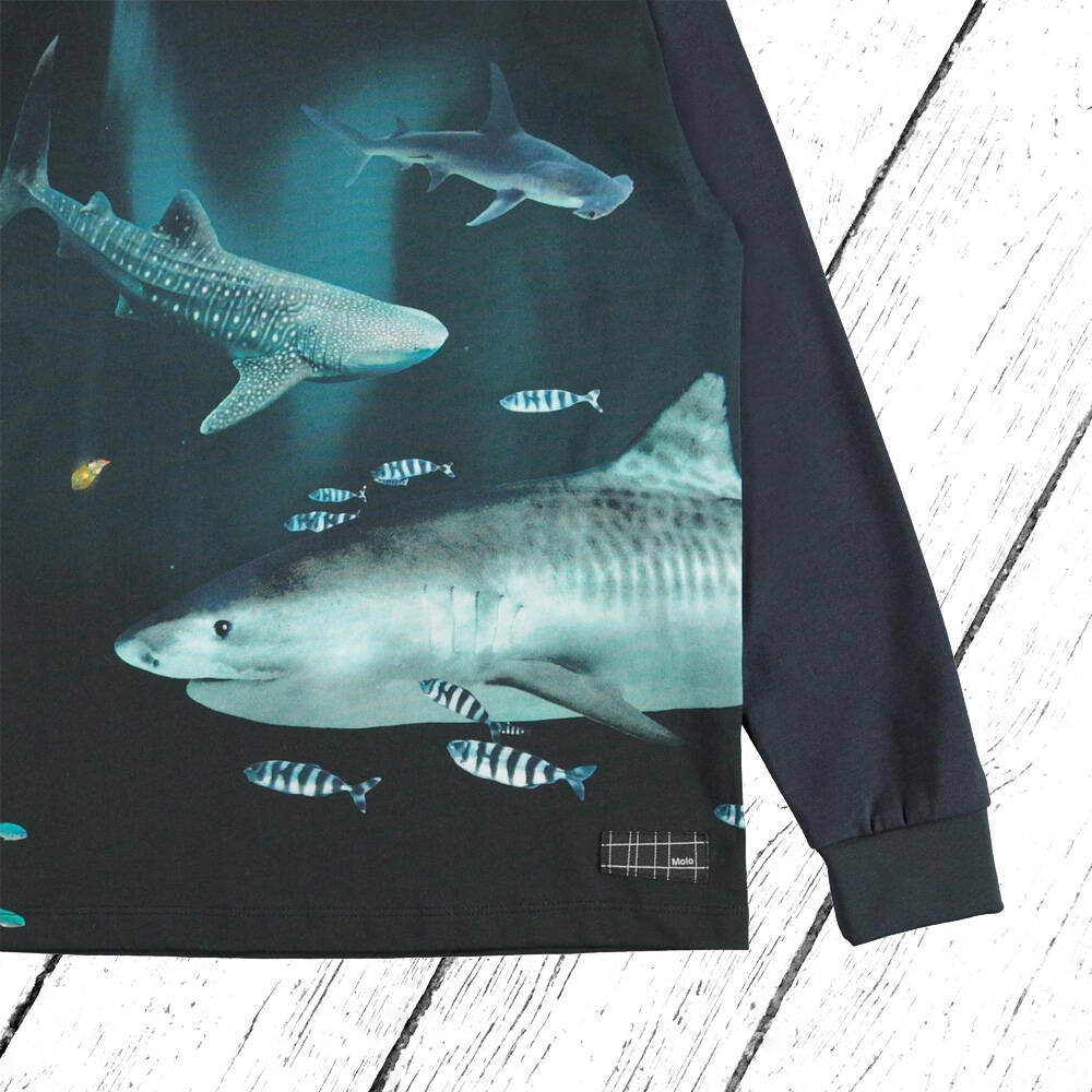 Molo Shirt Rexton Dark Sharks