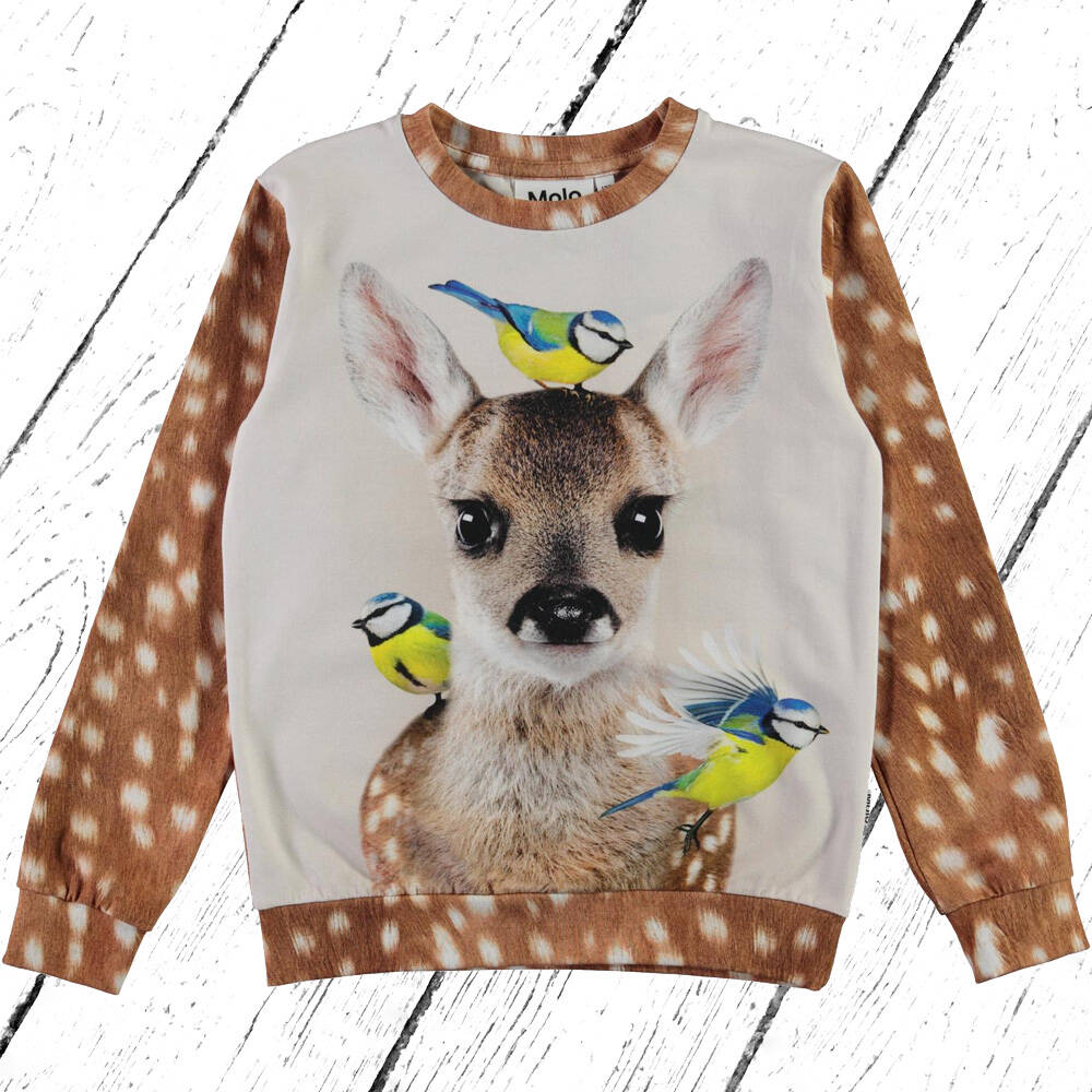 Molo Sweater Regine Fawn and Birds