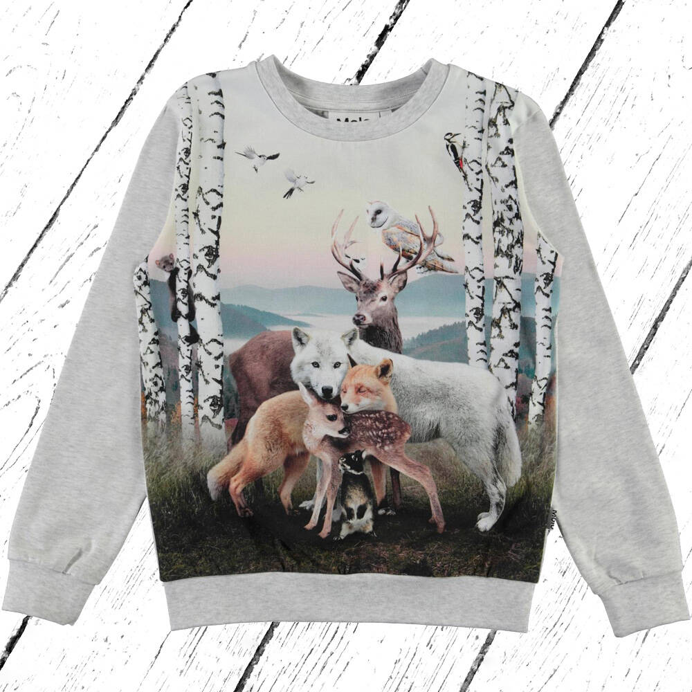 Molo Sweater Regine Animal Hug