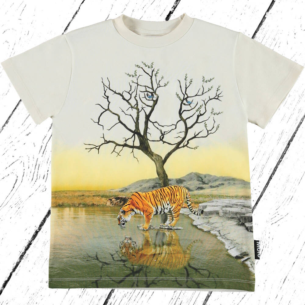 Molo T-Shirt Road Imagine Tiger