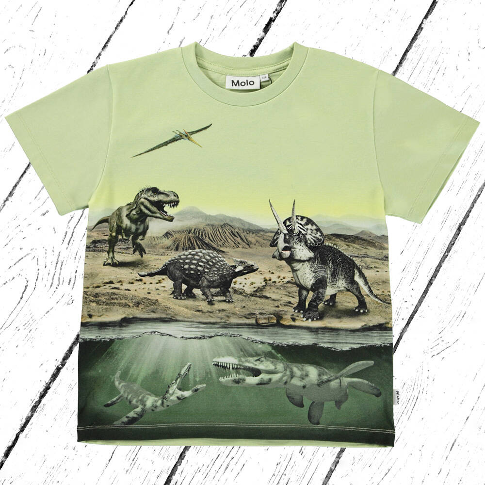 Molo T-Shirt Rame Dino Earth