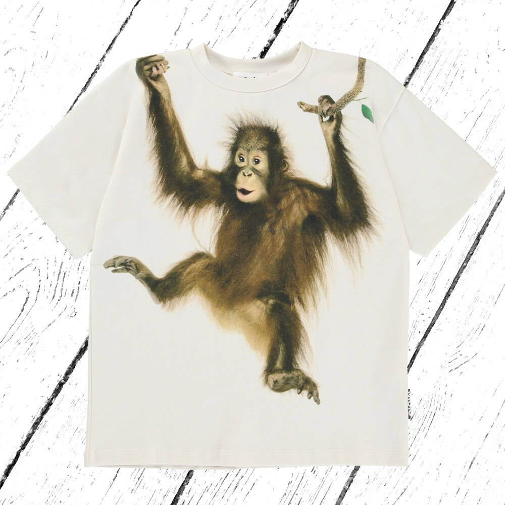 Molo T-Shirt Rillo Palmtree Monkey