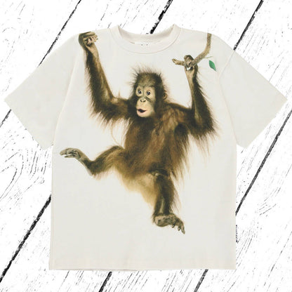 Molo T-Shirt Rillo Palmtree Monkey