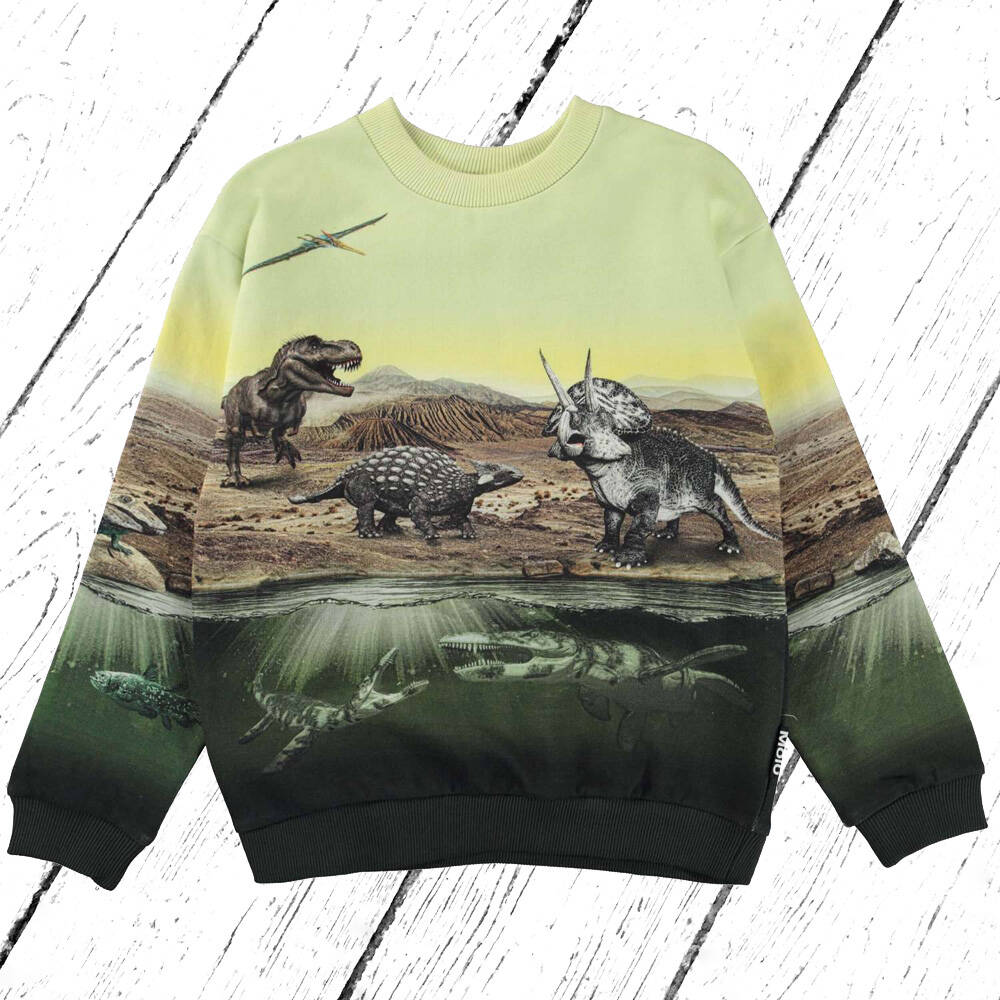Molo Sweatshirt Miksi Dino Earth