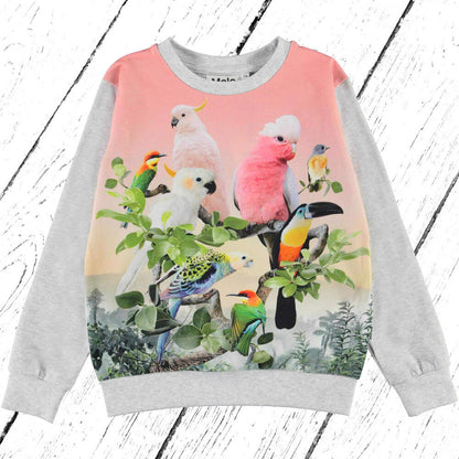 Molo Sweater Regine Jungle Birds