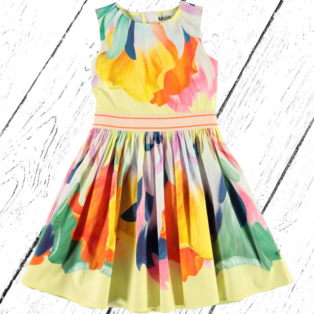 Molo Kleid Carli Colourful Joy
