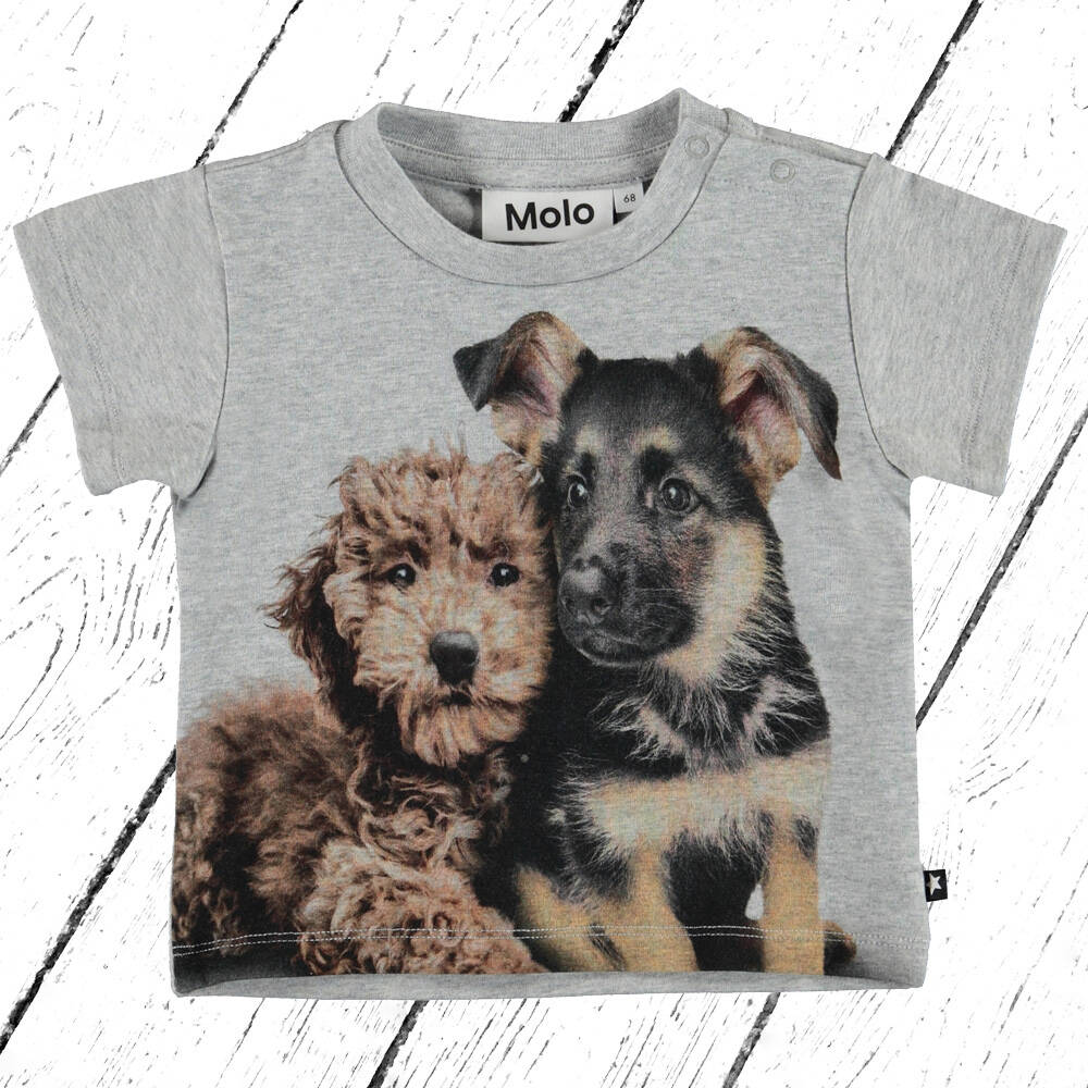 Molo T-Shirt Emilio Pups Mates