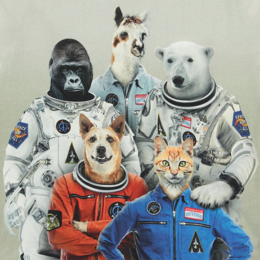 Molo Shirt Rin Space Crew