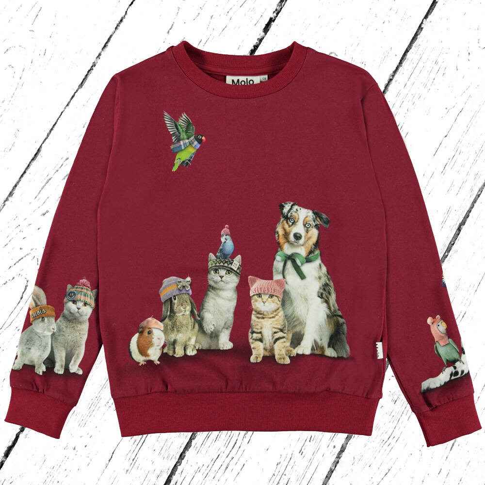 Molo Shirt Regine Family Photo