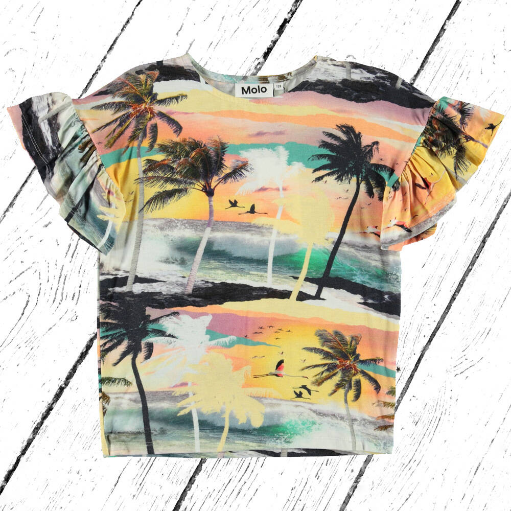 Molo T-Shirt Rayah Summer Storm