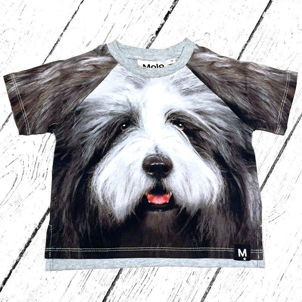Molo T-Shirt Even Hairy Dog