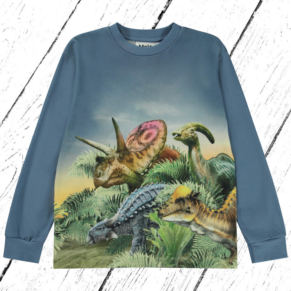 Molo Shirt Rexton Dino Friends
