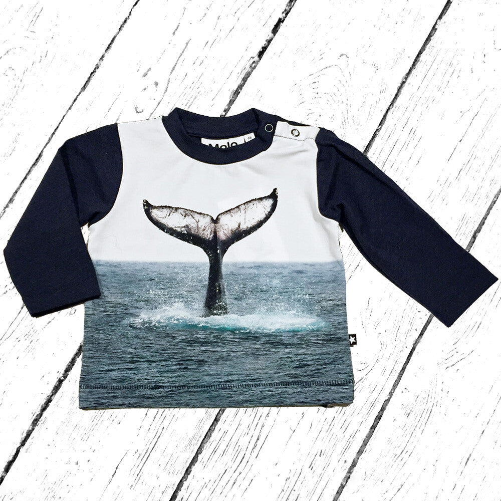 Molo Shirt Enovan Whale Tail