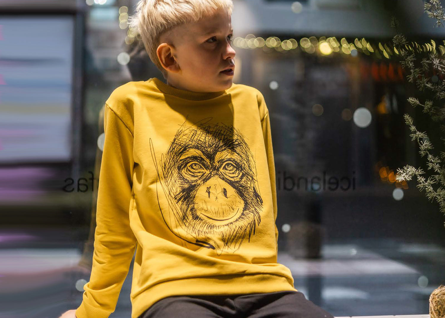 Pullover und Jacken