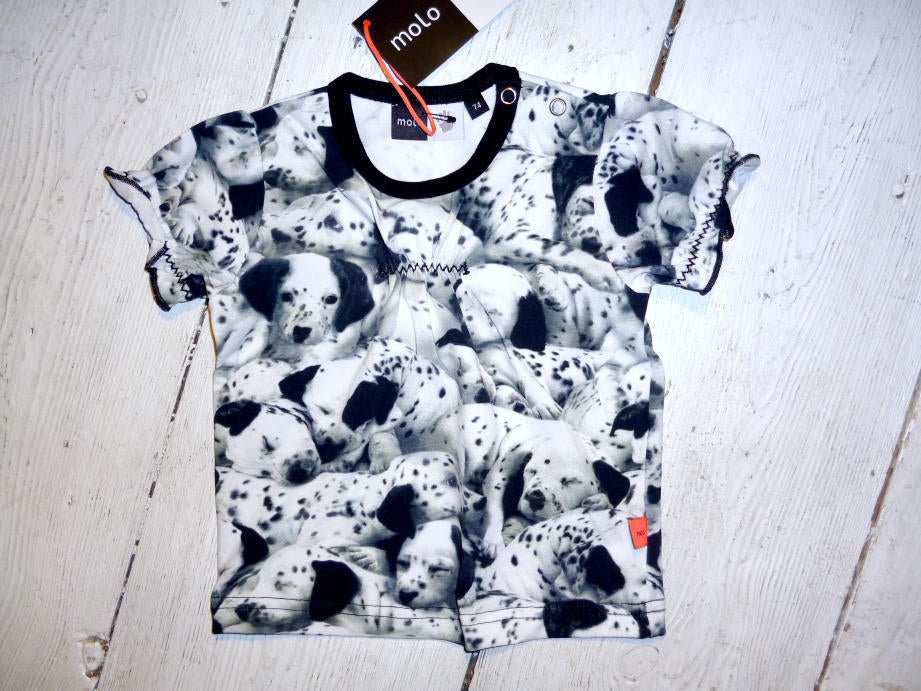 Molo T-Shirt &