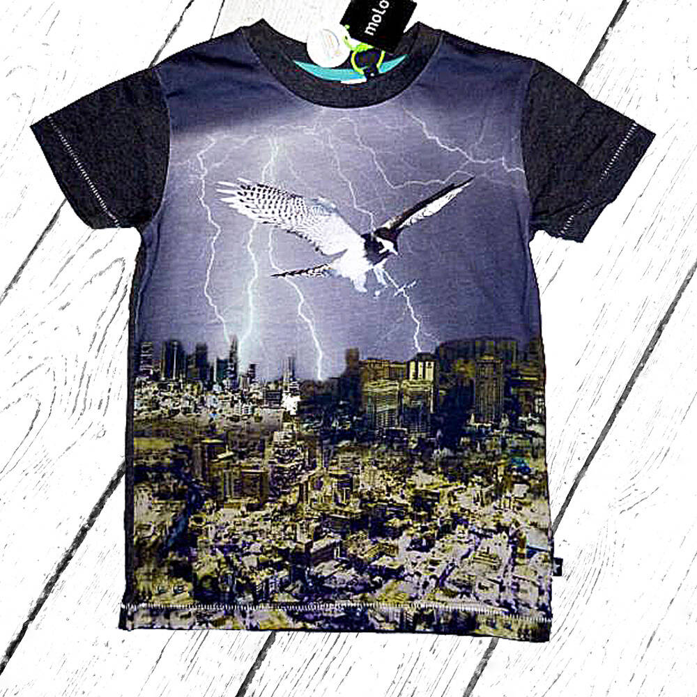Molo T-Shirt Rokil Falcon City