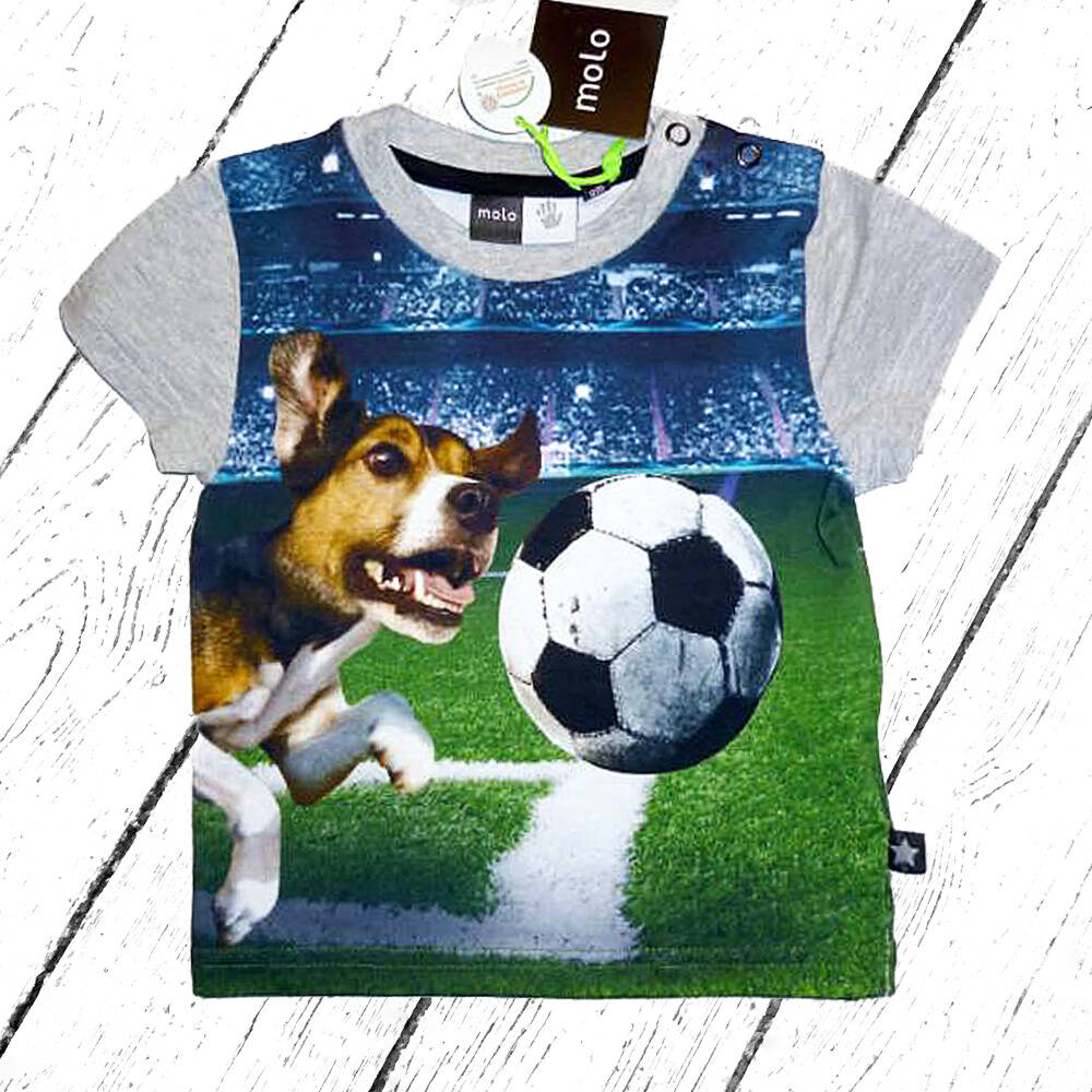 Molo T-Shirt Emilio Dog after ball