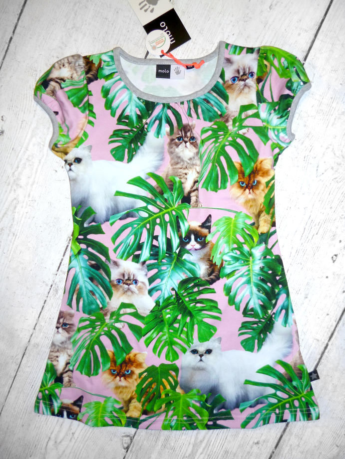 Molo Kleid Camellia Sourpuss