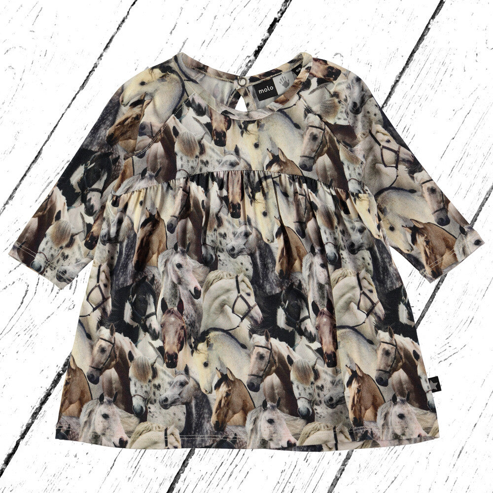 Molo Kleid Carlys Horse Spirit