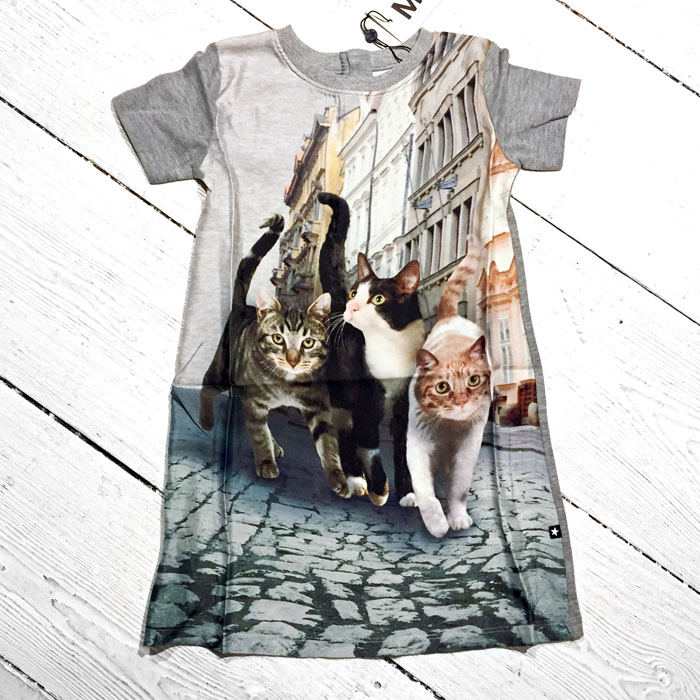 Molo Kleid Christy Paris Cats
