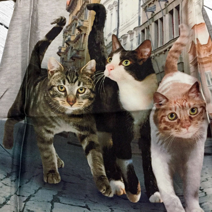 Molo Kleid Christy Paris Cats