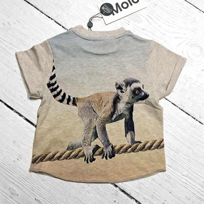 Molo T-Shirt Ethan Baby Lemur