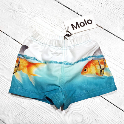 Molo Badeshorts Newton Scary Fish