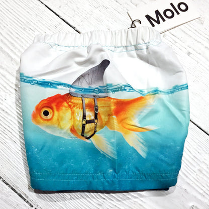 Molo Badeshorts Newton Scary Fish