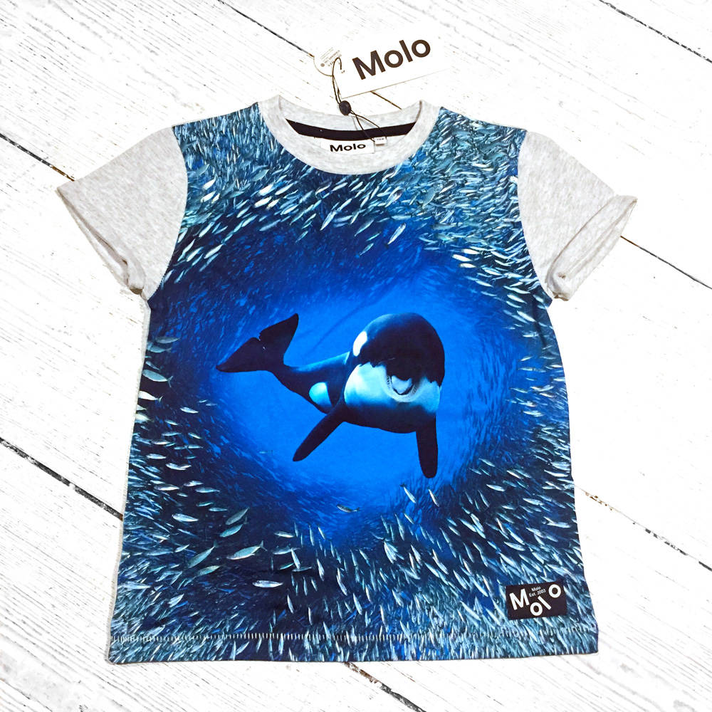 Molo T-Shirt River Orcra