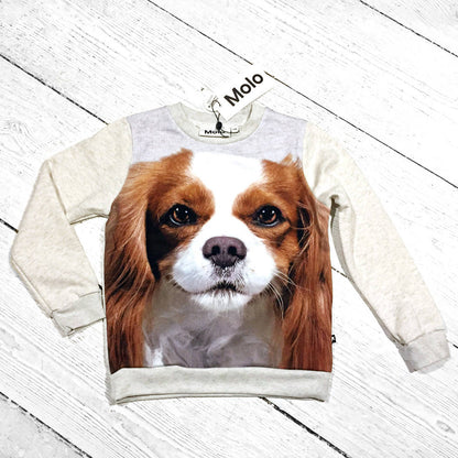 Molo Sweater Mara Spaniel