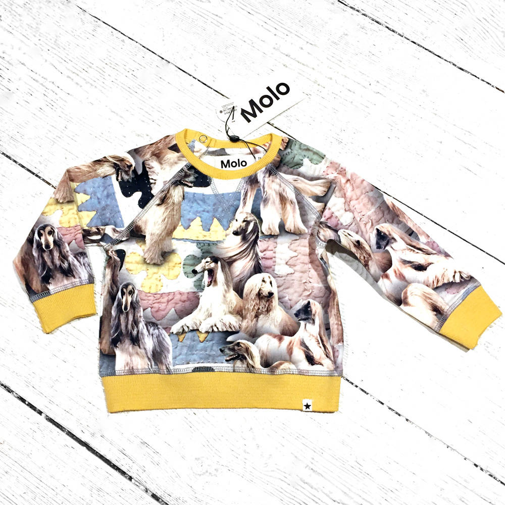 Molo Pulli Elsa Dogtastic