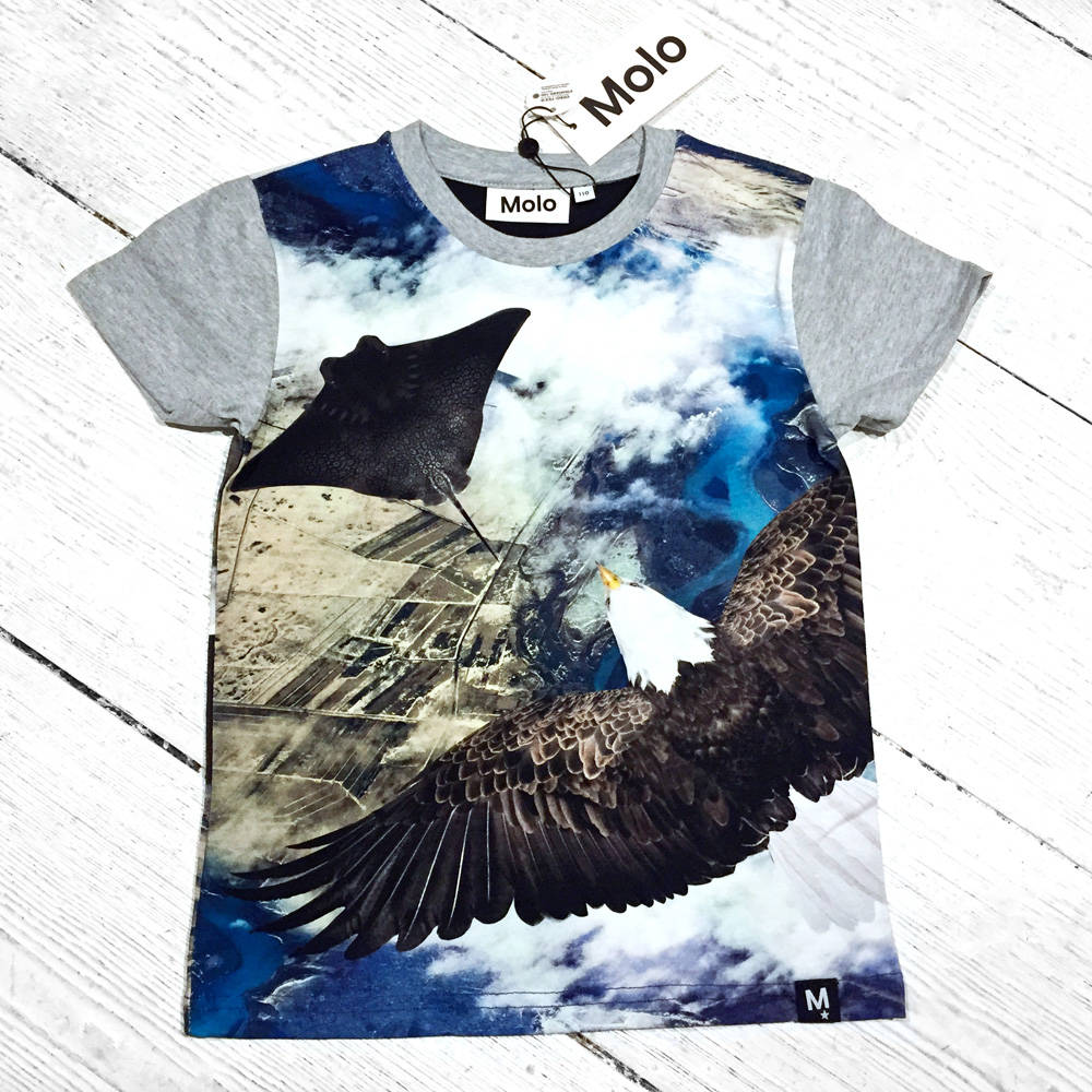 Molo T-Shirt Raven Flying