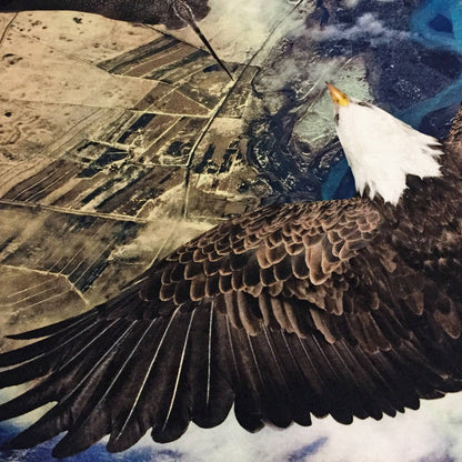 Molo T-Shirt Raven Flying