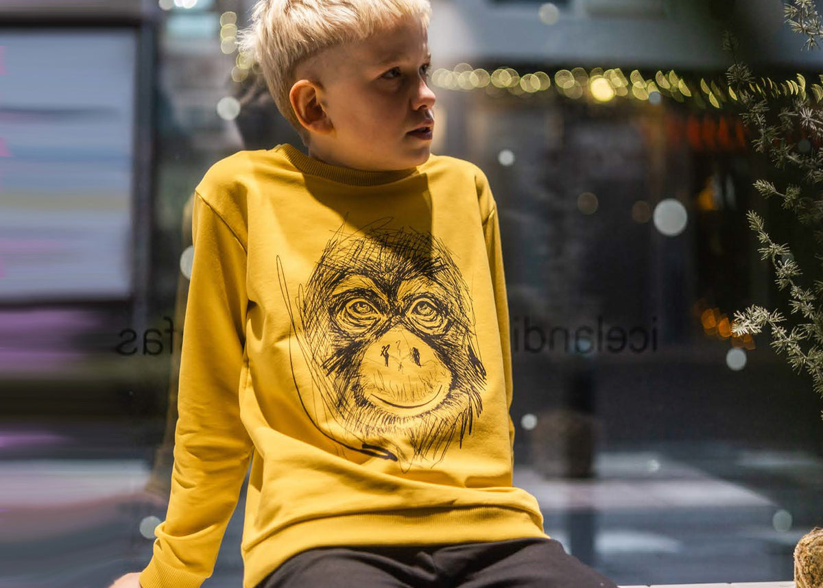 Pullover und Jacken