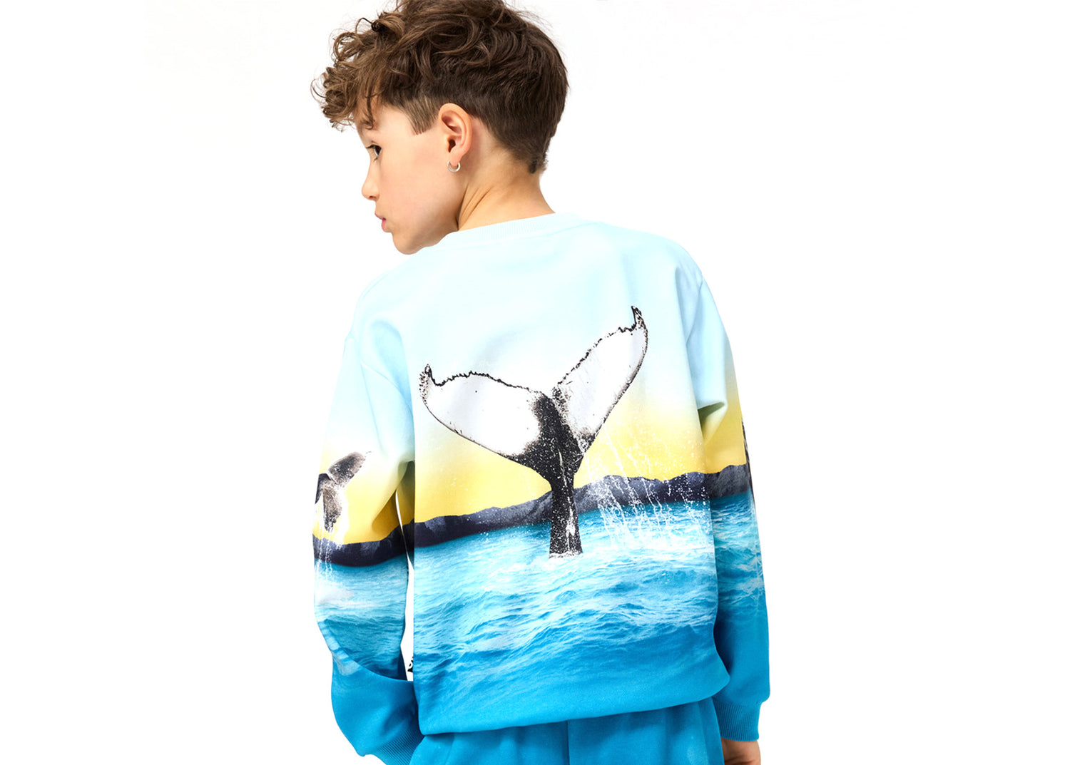 Pullover und Jacken