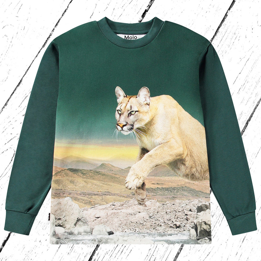 Molo Shirt Rexton Puma Green