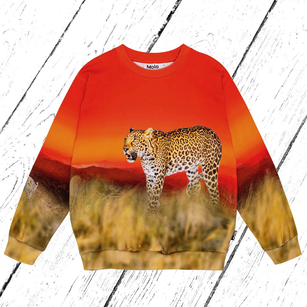 Molo Sweater Miksi Red Sky Leopard