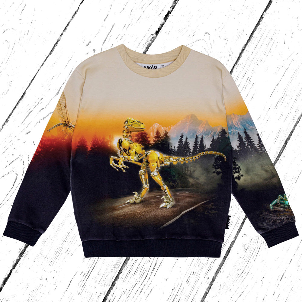 Molo Sweater Miksi Virtual World