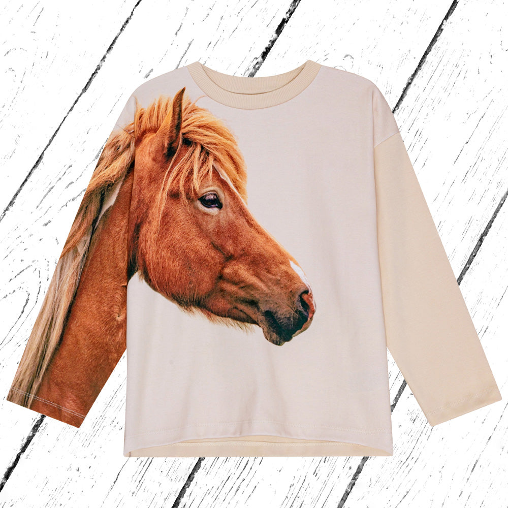 Molo Sweater Mountoo Pony Friend