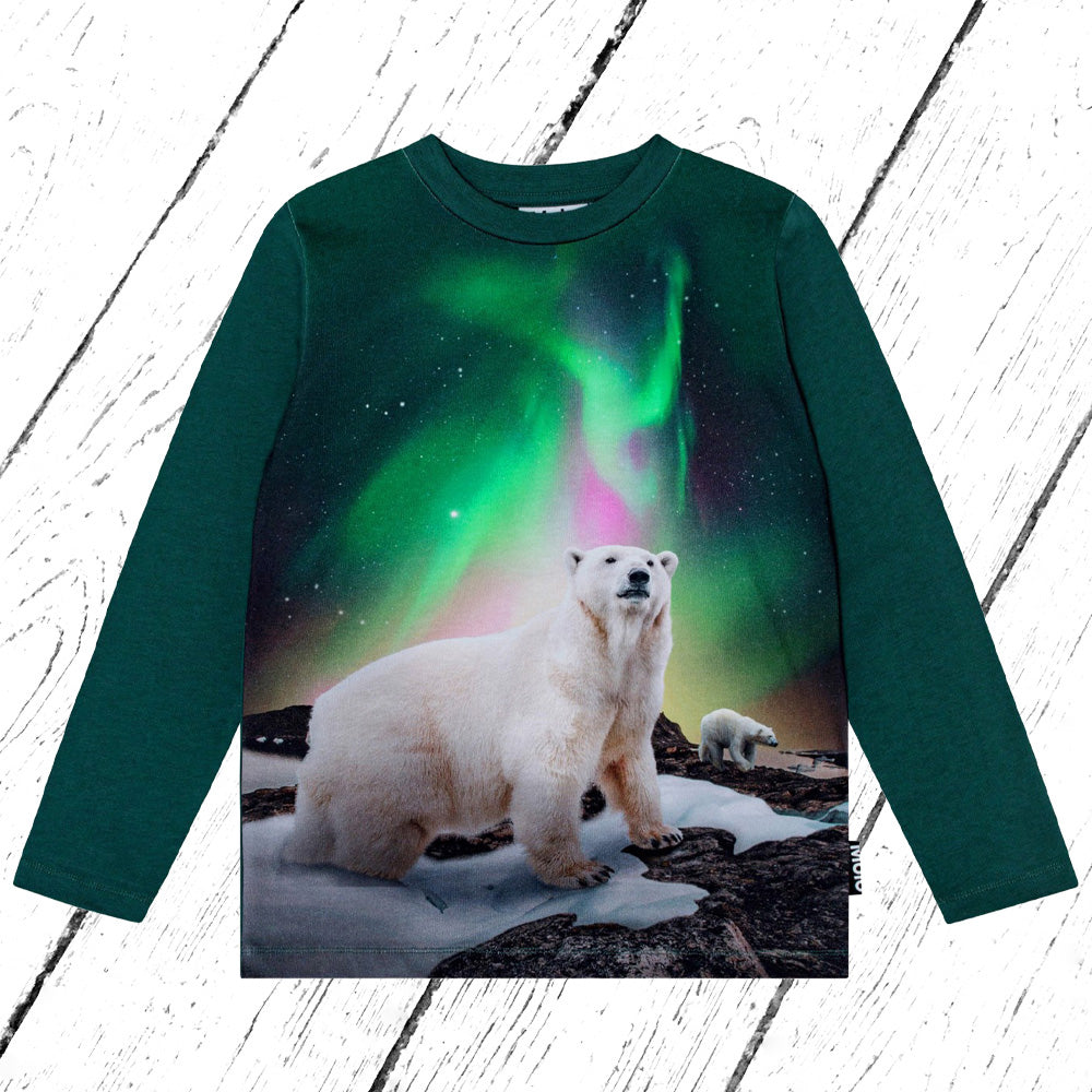 Molo Shirt Reif Polar Bear