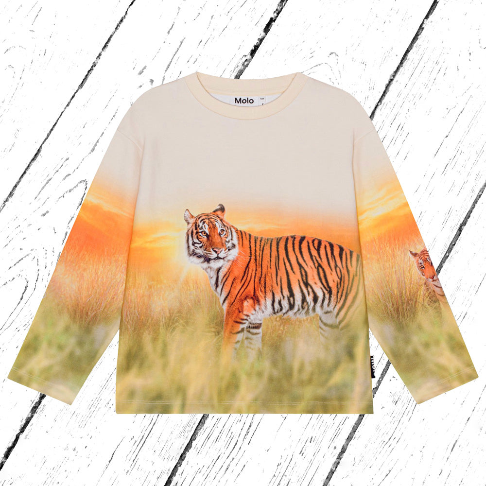 Molo Sweatshirt Mountoo Sunrise Tiger