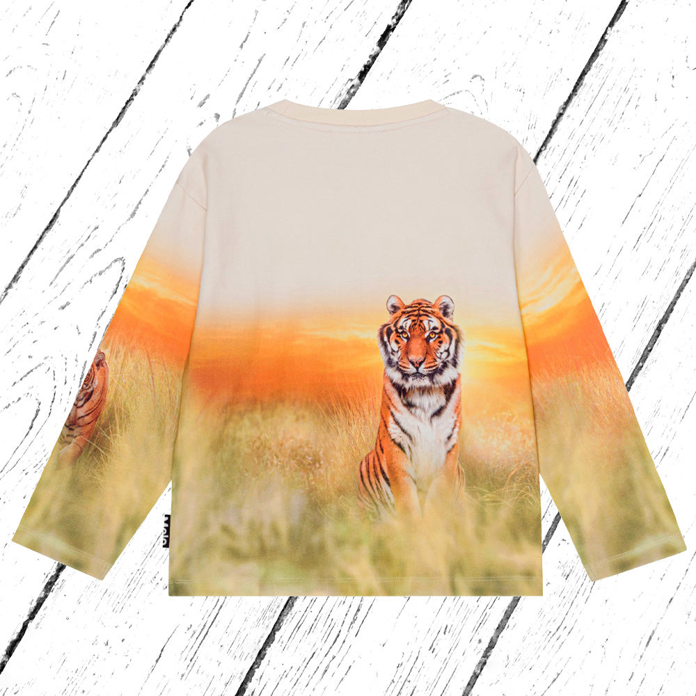 Molo Sweatshirt Mountoo Sunrise Tiger