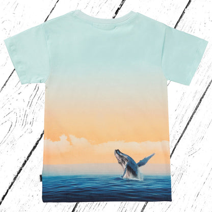 Molo T-Shirt Raul Ocean Smile