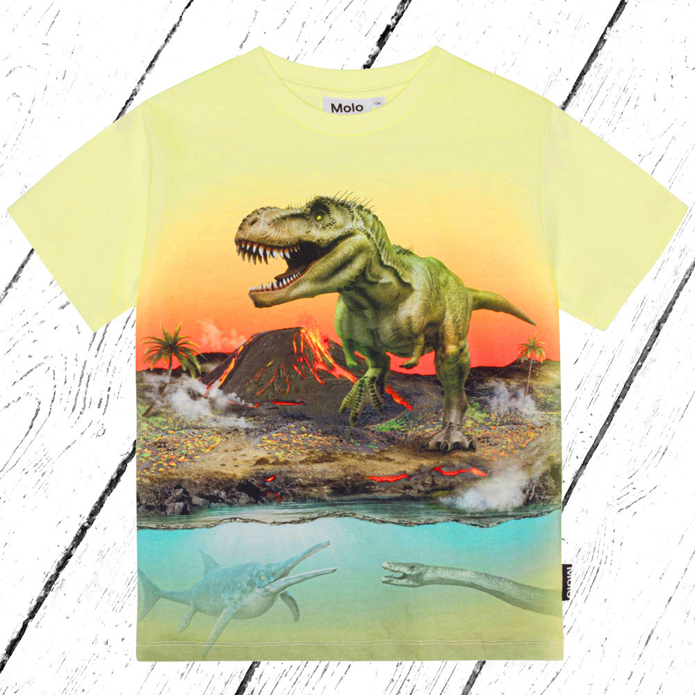 Molo T-Shirt Riley Volcano Dino
