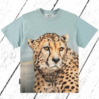 Molo T-Shirt Rubin Big Cheetah Blue