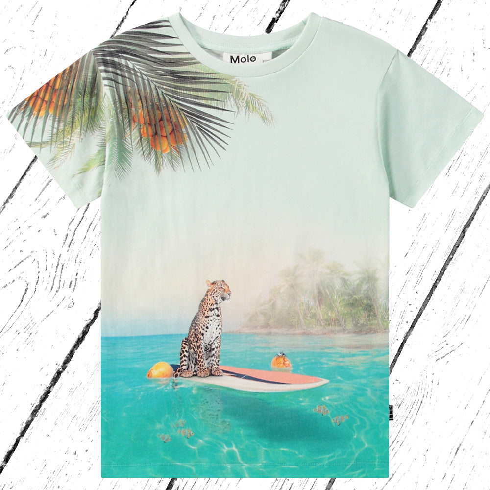 Molo T-Shirt Raul Leo On Surf