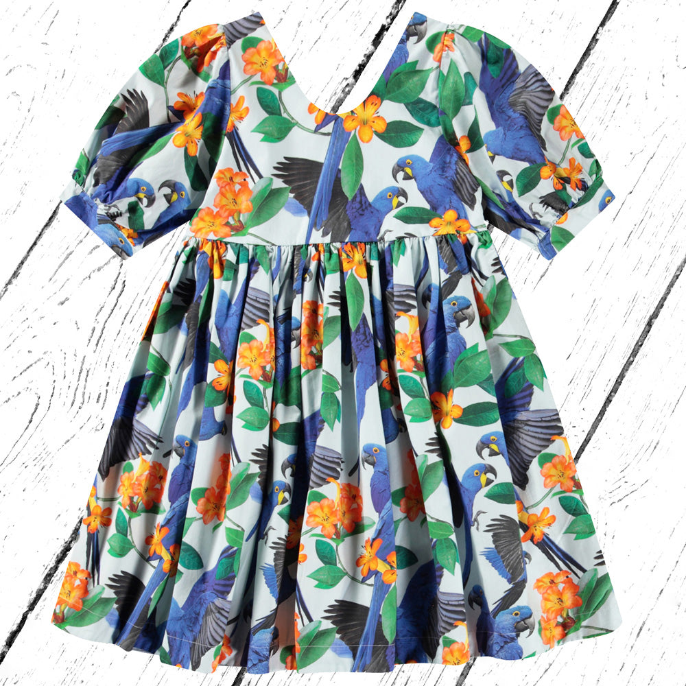 Molo Kleid Camilo Macaws Blue