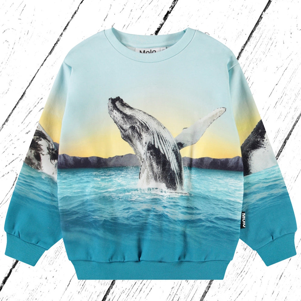 Molo Sweater Miksi Whale Jump
